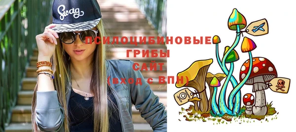метадон Алексин