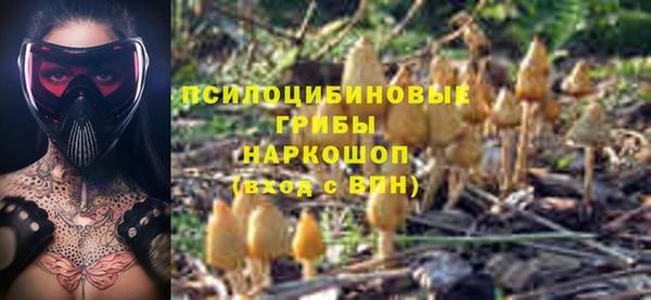 2c-b Алексеевка