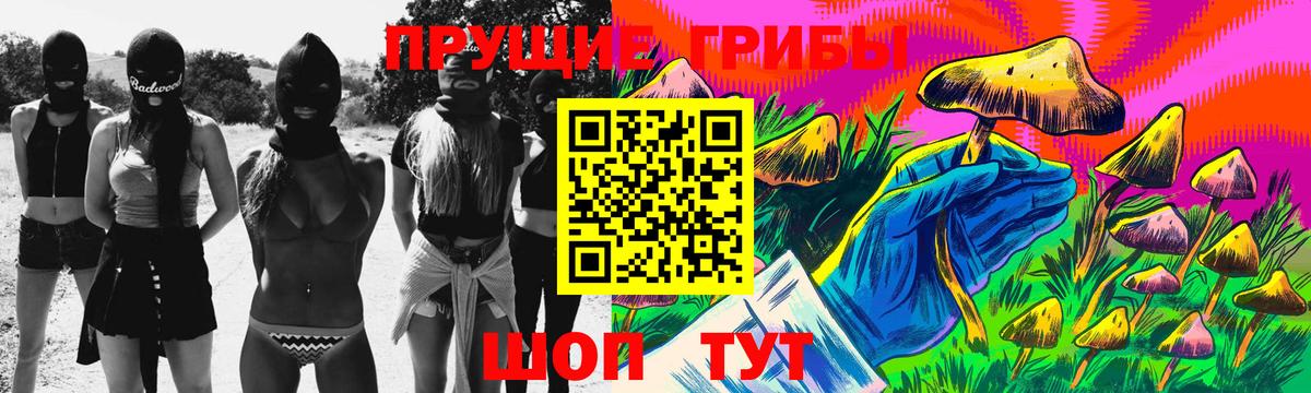 Курганинск  Псилоцибиновые грибы MAGIC MUSHROOMS  наркотики  Вход с VPN  Псилоцибиновые грибы MAGIC MUSHROOMS 