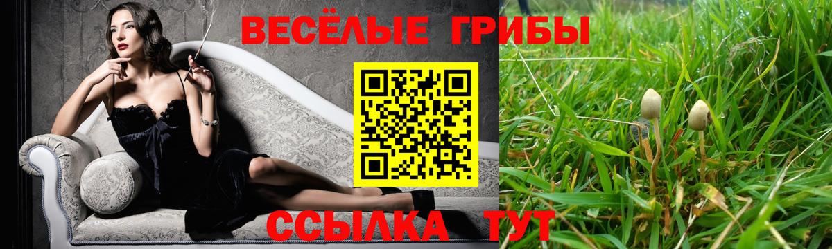 Галлюциногенные грибы Magic Shrooms Курганинск